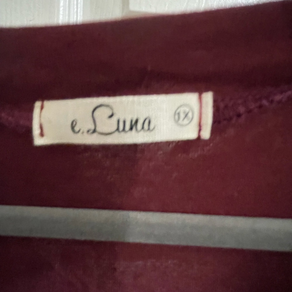 NEW E. Luna Burgundy Gray and Cream Color Block Long Sleeve Top Size 1X - Picture 3 of 4